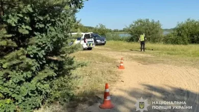 На Яворівщині автомобіль травмував шестирічного хлопчика в лісі біля озера