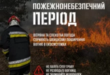 22 червня на Львівщині прогнозують надзвичайну пожежну небезпеку