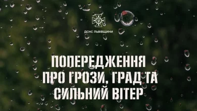 На Львівщині 22 червня очікують грози, шквали та град