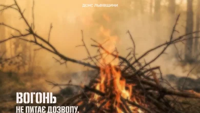 На Львівщині за добу ліквідували вісім пожеж сухої рослинності