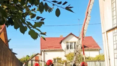 Рятувальники ліквідовують пожежу в селі Холодновідка Львівського району
