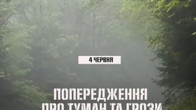 На Львівщині попередили про туман та грози 4 червня