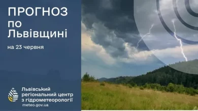 Прогноз погоди на 23 червня: дощі, грози та до 29° тепла