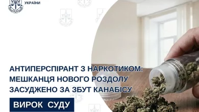 Мешканця Нового Роздолу засудили за збут канабісу та зберігання боєприпасів