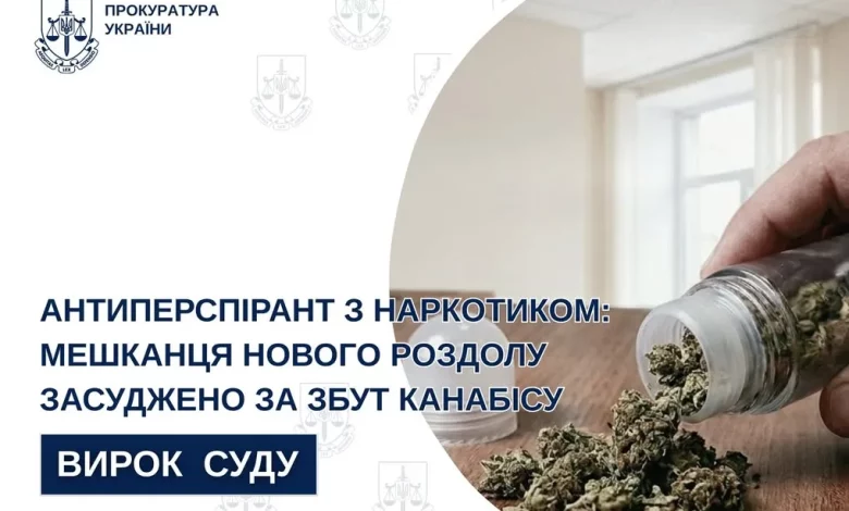 Мешканця Нового Роздолу засудили за збут канабісу та зберігання боєприпасів