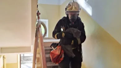 У Львові на вулиці Черешневій рятувальники вивели людей з палаючої квартири