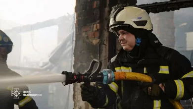 На Львівщині за добу ліквідували 18 пожеж, з них 12 в екосистемах