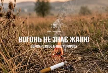 На Львівщині за добу загасили 11 пожеж сухої трави