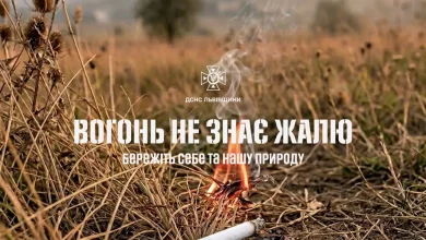 На Львівщині за добу загасили 11 пожеж сухої трави