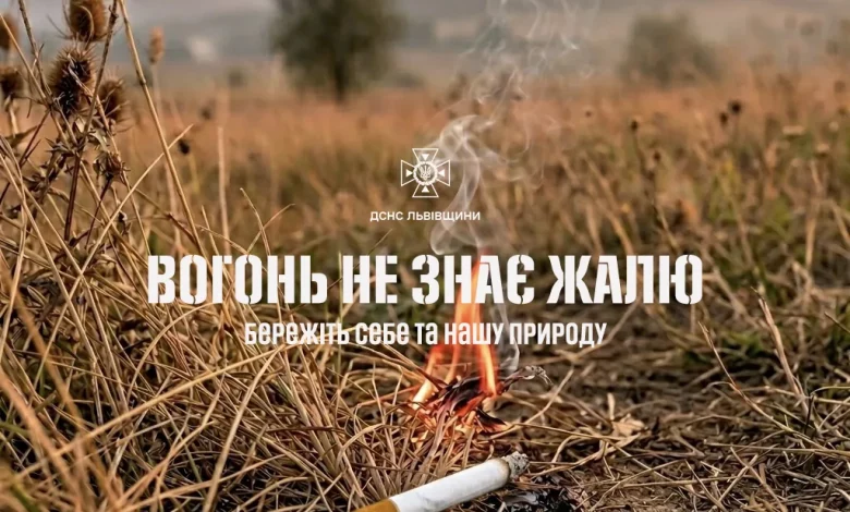 На Львівщині за добу загасили 11 пожеж сухої трави