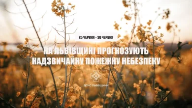 На Львівщині оголосили найвищий рівень пожежної небезпеки