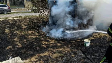 У Дублянах під час пожежі сухої трави травмувався 80-річний чоловік