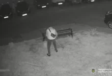 У Шептицькому поліція розшукує причетних до пошкодження зелених насаджень