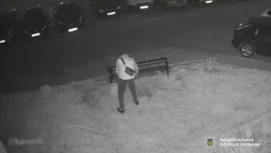 У Шептицькому поліція розшукує причетних до пошкодження зелених насаджень