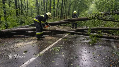 На Львівщині рятувальники розчищають дороги від повалених дерев після негоди