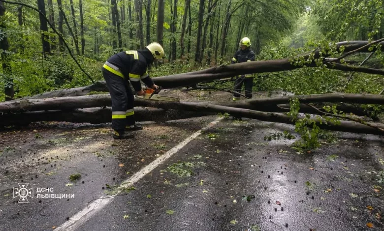 На Львівщині рятувальники розчищають дороги від повалених дерев після негоди