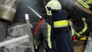 У селі Блищиводи загинув чоловік під час пожежі житлового будинку