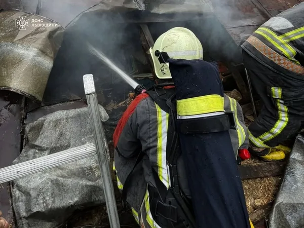 У селі Блищиводи загинув чоловік під час пожежі житлового будинку