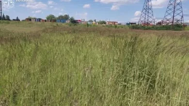 У Львові судитимуть держреєстраторку, через дії якої громада втратила землю на 22 млн грн