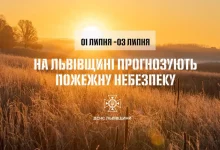 На Львівщині оголосили надзвичайну пожежну небезпеку