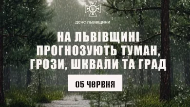 На Львівщині 5 червня прогнозують туман, грози та шквалистий вітер