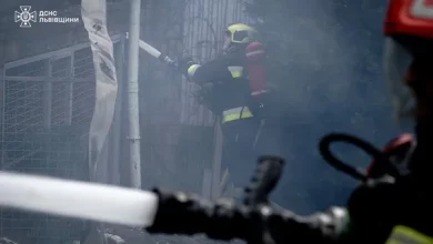 На Львівщині за добу загасили 10 пожеж, одну — в екосистемі