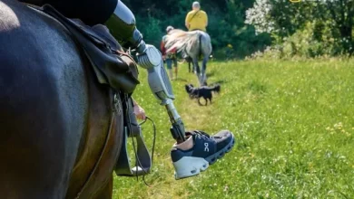 На Львівщині проведуть благодійний фестиваль «Гута Фест: зі щитом і честю»