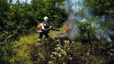 На Львівщині за добу загасили 35 пожеж в екосистемах