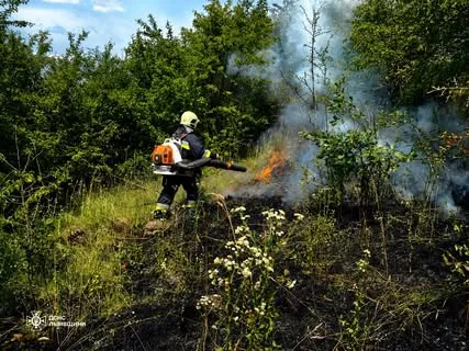 На Львівщині за добу загасили 35 пожеж в екосистемах