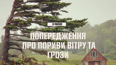 8 липня на Львівщині очікують грози та сильний вітер