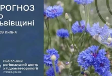 Прогноз погоди на 9 липня: дощі та поривчастий вітер на Львівщині