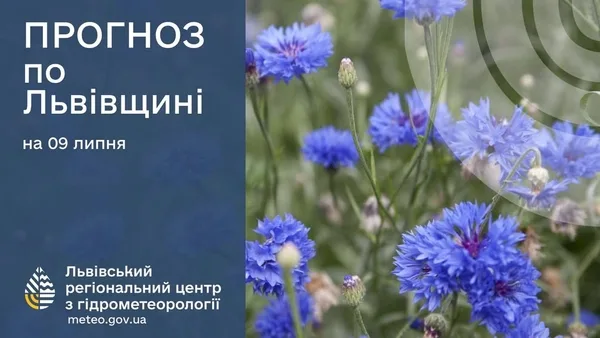 Прогноз погоди на 9 липня: дощі та поривчастий вітер на Львівщині