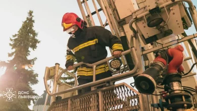 На Львівщині за добу ліквідували 9 пожеж, з них 4 в екосистемах