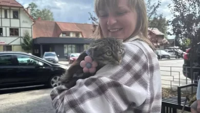 У Львівській громаді розпочали безкоштовну вакцинацію тварин від сказу