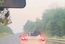 На Львівщині виявили водія BMW без посвідчення за відео із соцмереж