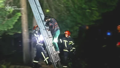У Львові рятувальники зняли з дерева жінку з котом