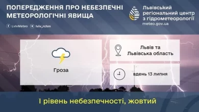На Львівщині 13 липня очікують туман і грози