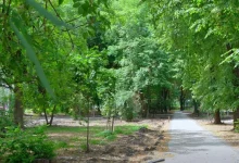 У Львові оновлюють сквер «Кульпарківський» за кошти інвестора