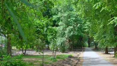 У Львові оновлюють сквер «Кульпарківський» за кошти інвестора