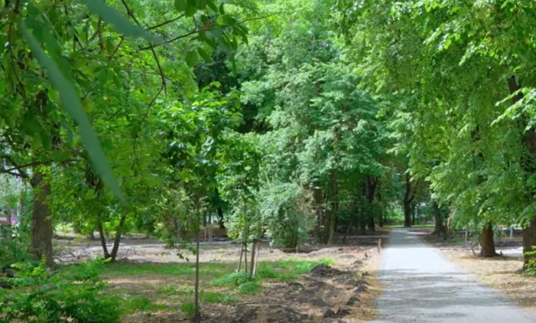 У Львові оновлюють сквер «Кульпарківський» за кошти інвестора