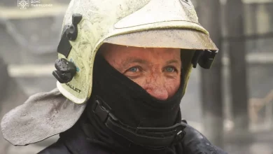 На Львівщині за добу ліквідували 43 пожежі, з них 25 в екосистемах