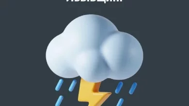 Через грозу на Львівщині знеструмлено понад сотню населених пунктів