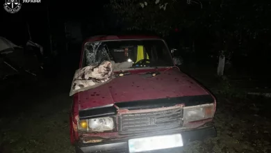 На Львівщині п’яний водій, який смертельно травмував 17-річну дівчину та втік, отримав 10 років ув’язнення