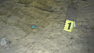 На Львівщині поліція оперативно розшукала викрадений скутер