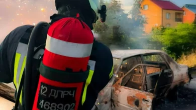 У селі Кульчиці на Самбірщині вогонь знищив легковий автомобіль