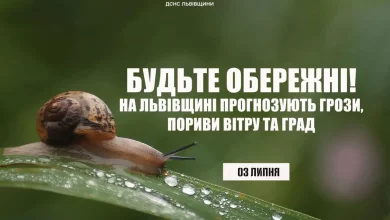 На Львівщині 3 липня очікують грози, град і сильний вітер