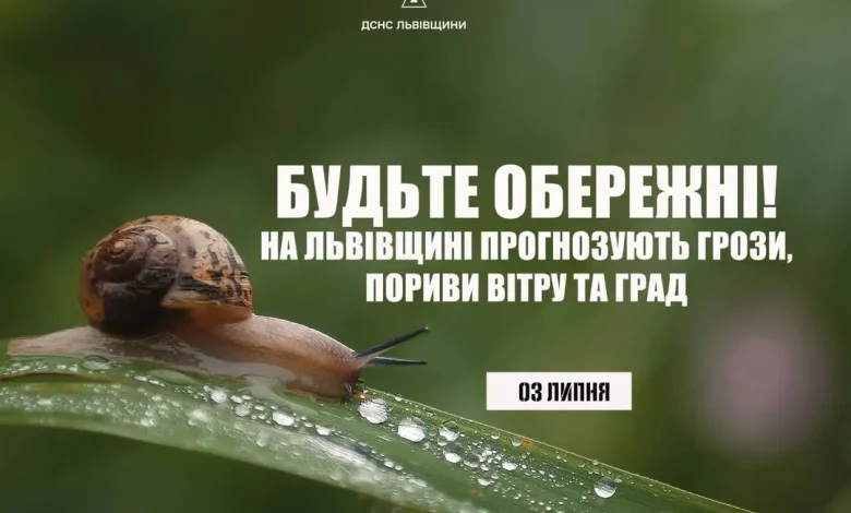На Львівщині 3 липня очікують грози, град і сильний вітер