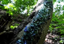 У парку «Знесіння» відкрили лендарт-об’єкт зі старовинного скла