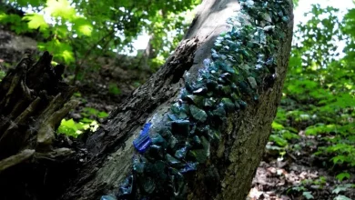У парку «Знесіння» відкрили лендарт-об’єкт зі старовинного скла