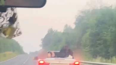 На Львівщині виявили водія BMW без посвідчення за відео із соцмереж